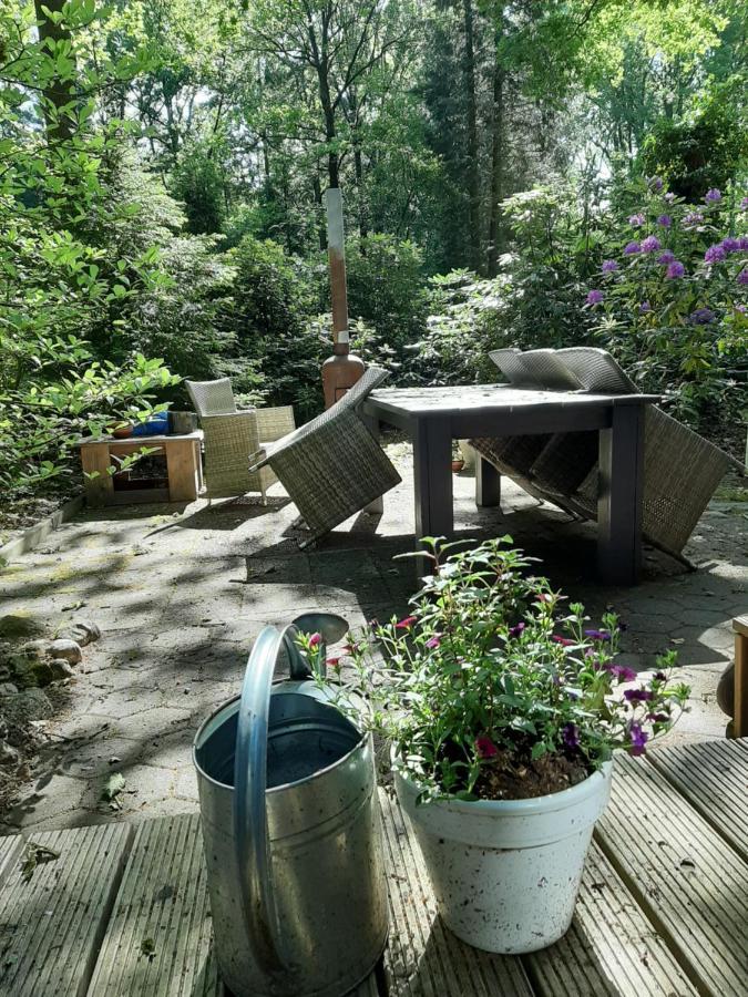 De Boshut Vledder Exterior foto