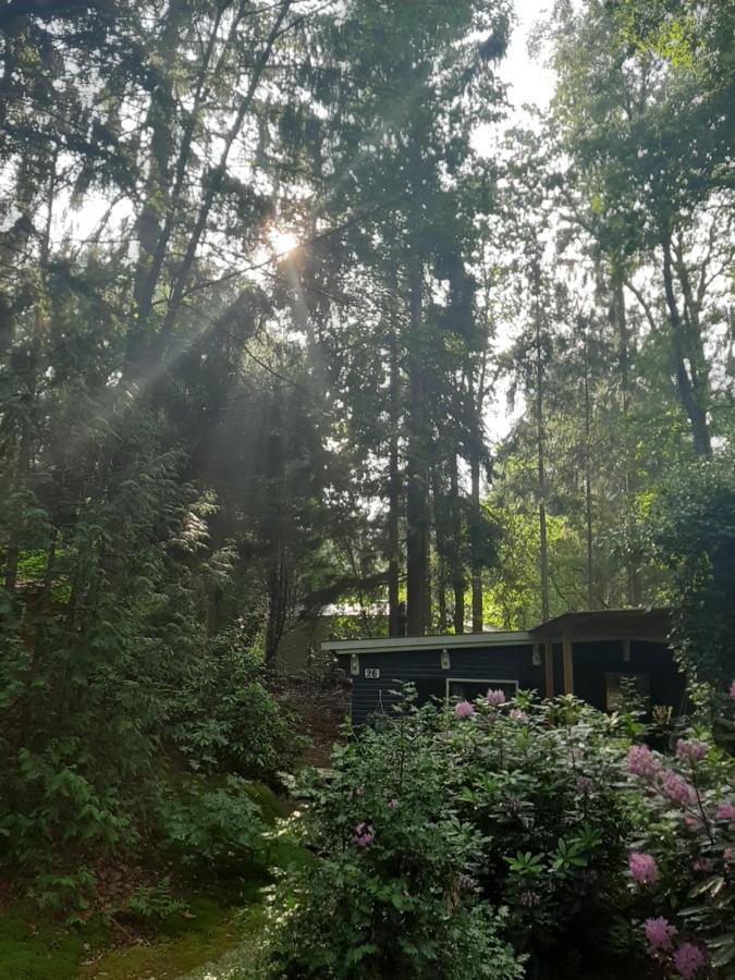 De Boshut Vledder Exterior foto